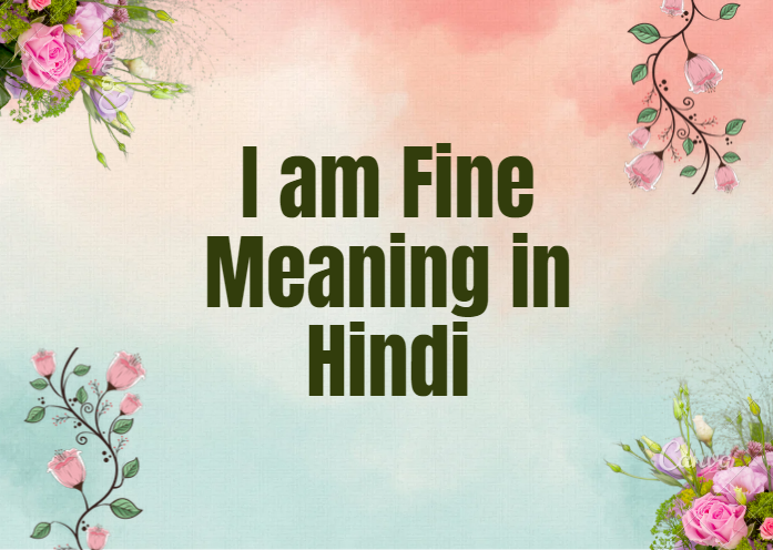 i am fine meaning in hindi